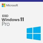 Windows 11 Pro 32/64BIT TR/ENG Lisans ESD