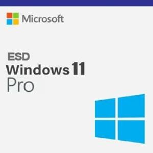 Windows 11 Pro 32/64BIT TR/ENG Lisans ESD
