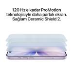 iPhone 17 256GB Siyah MG6J4TU/A
