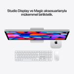 Mac mini M5 Pro 15CPU 16GPU 24GB 1TB Z1UD001FM