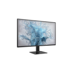 Philips 27E2N2500 27 inç 2K QHD 120Hz Monitör
