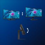 Philips 346E2CUAE 34'' WQHD Curved USB-C Monitör