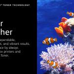 Xerox 008R13326 Atık Toner Ünitesi