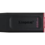 Kingston Exodia 256GB USB Flash Bellek (DTX)