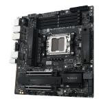 ASUS Pro WS B850M-ACE SE AM5 Workstation Anakart