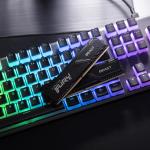 Kingston Fury Beast 16GB DDR4 3200 MHz Masaüstü Bellek (KF432C16BB/16TR)