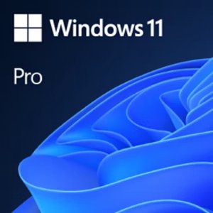 Windows 11 Pro İngilizce Oem (64 Bit) FQC-10528