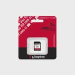 Kingston 1TB Canvas React Plus V60