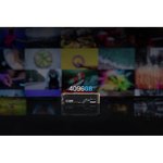 Kingston KC3000 4TB M.2 NVMe SSD (7000-7000)