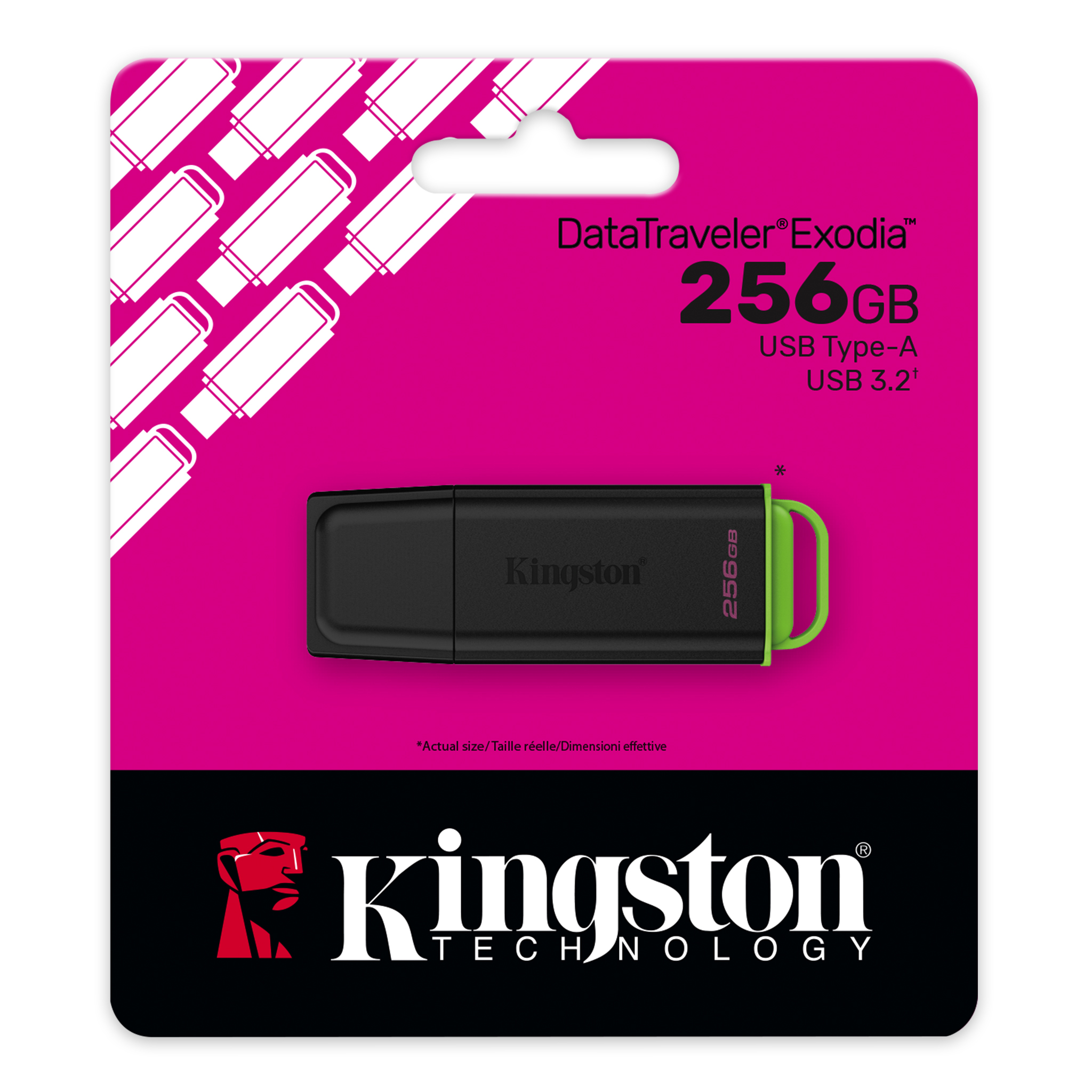 Kingston DataTraveler Exodia 256GB USB 3.2 Flash Bellek