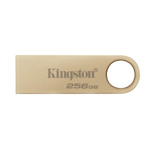 Kingston 256GB DTSE9G3/256GB