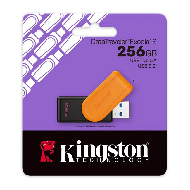 Kingston 256GB DataTraveler Exodia S