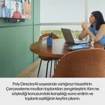 Poly V12 UVB NPS Euro Bağlantı Kablosu