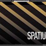 MSI SPATIUM M461 PCIe 4.0 NVMe M.2 1TB