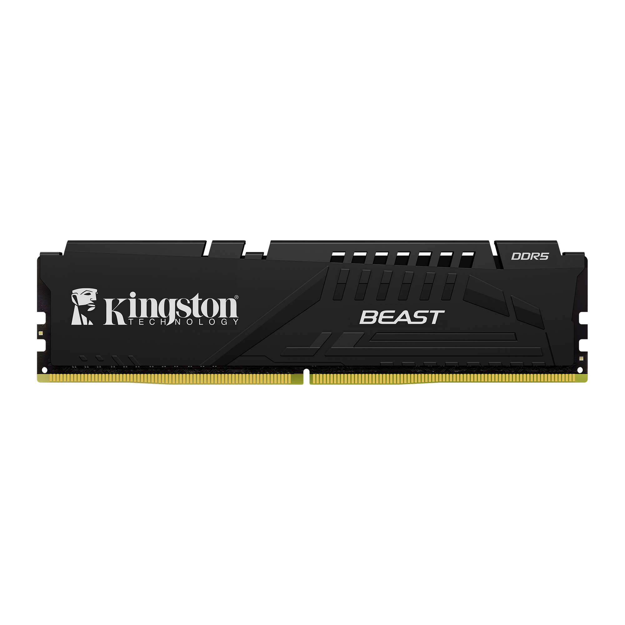 Kingston Beast 16G 2x8 5600 D5 KF556C36BBEK2-16TR