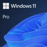 Windows 11 Pro İngilizce Oem (64 Bit) FQC-10528