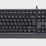 A4-Tech (F) Kablolu Klavye Siyah (FK10)