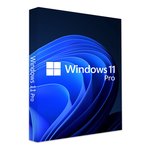 Windows 11 Pro Türkçe Oem (64 Bit) FQC-10556