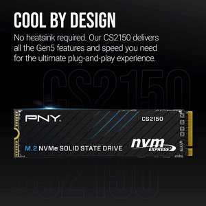 PNY CS2150 2TB 10200/8500 NVMe PCIe Gen5x4 M.2 SSD (M280CS2150-2TB-TB)