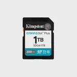 Kingston 1TB Canvas Go Plus SD Gen4