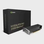 HP NVIDIA RTX Pro 2000 16GB GDDR7 Profesyonel Ekran Kartı (B5CH7AA)