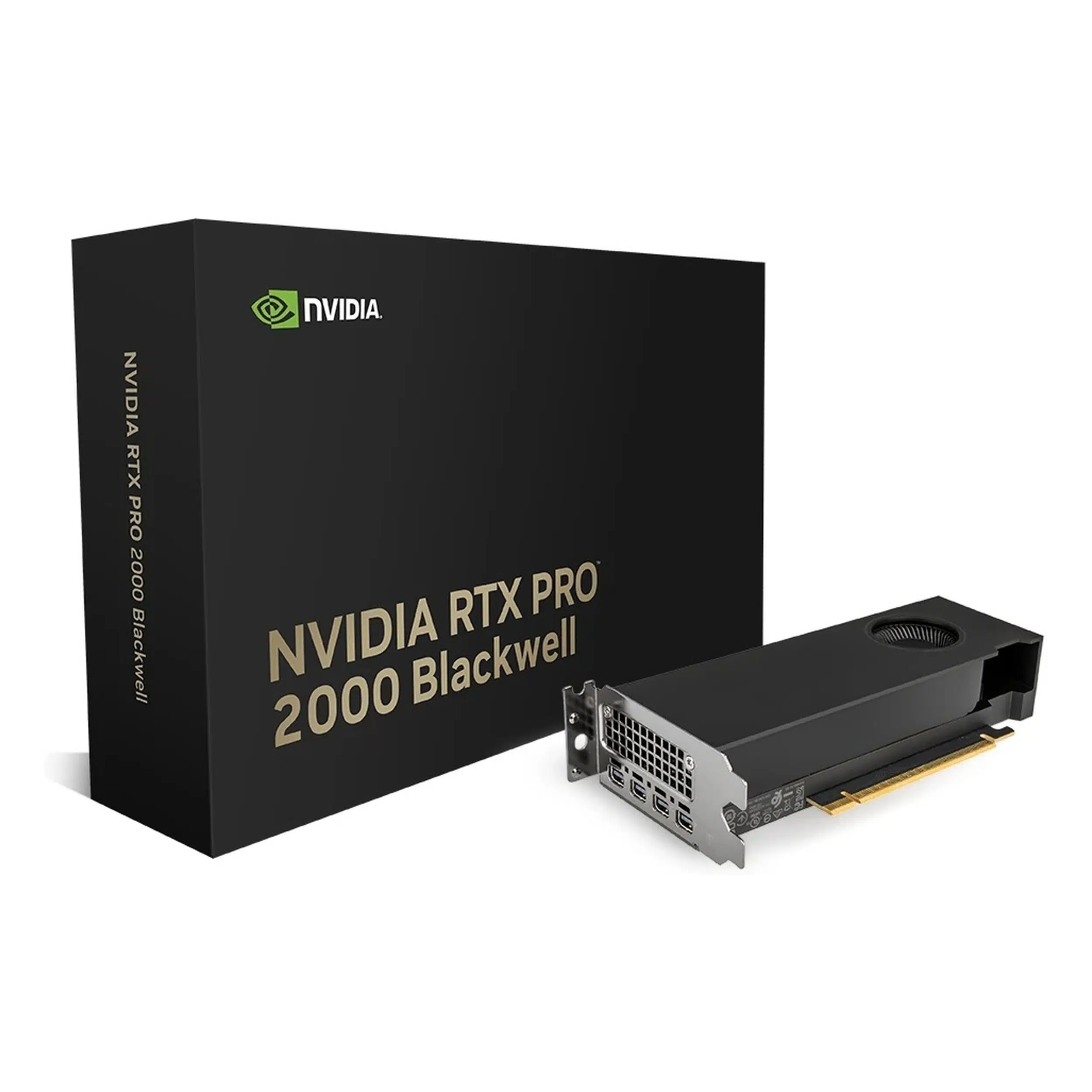 HP NVIDIA RTX Pro 2000 16GB GDDR7 Profesyonel Ekran Kartı (B5CH7AA)