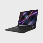 MSI Raider 16 HX B2WGX-018TR Oyuncu Notebook