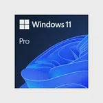 Windows 11 Pro Türkçe Oem (64 Bit) FQC-10556