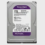 WD Purple 7X24 3,5' 1TB SATA
