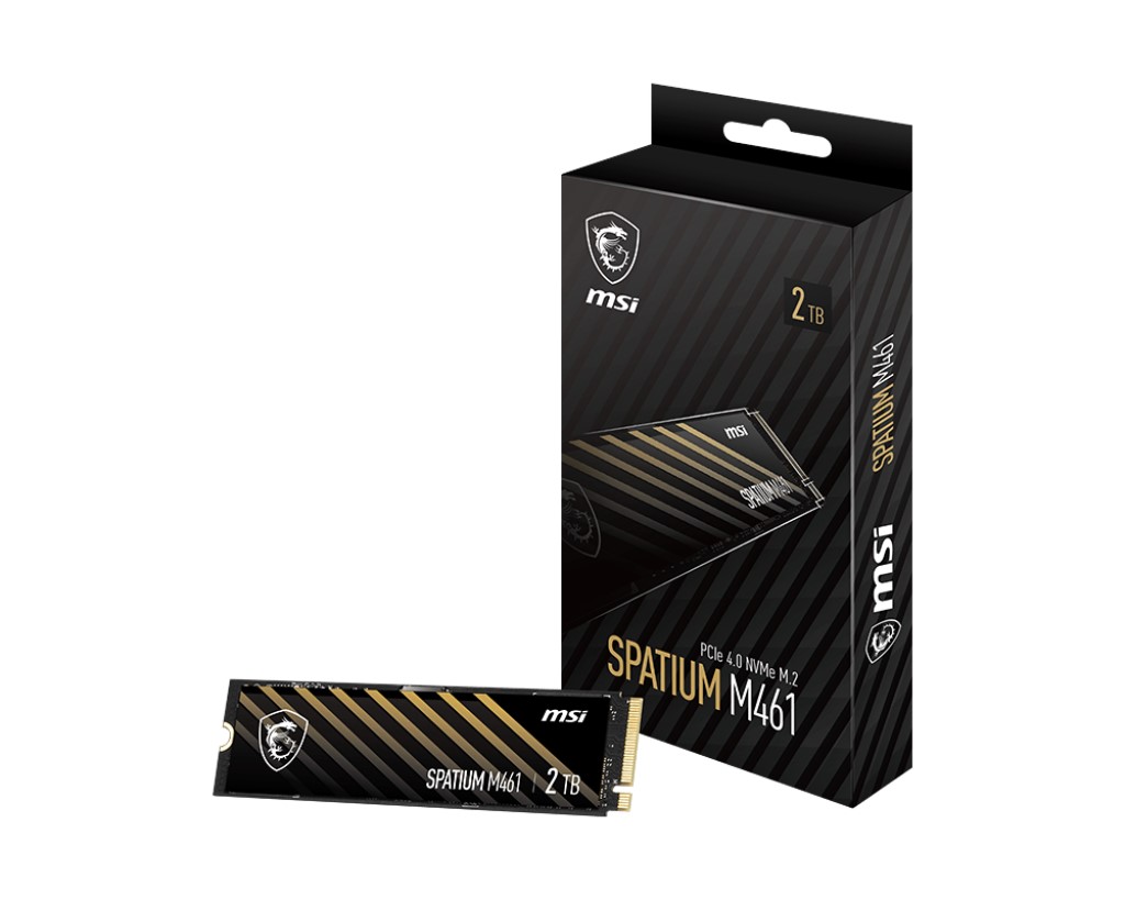 MSI SPATIUM M461 PCIe 4.0 NVMe M.2 2TB