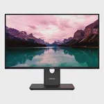 Lenovo T24-40 23.8" HDMI Monitör