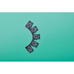 256GB microSDXC Canvas Select Plus Gen3 150MB/s A1 Card + Adapter