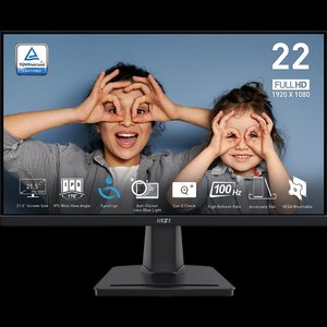 21.5 MSI PRO MP225 MONITOR