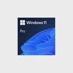 MS W11 PRO 32/64BIT ESD FQC-10572