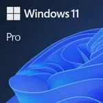 Windows 11 Pro İngilizce Oem (64 Bit) FQC-10528