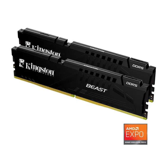 64gb 5600MT/s DDR5 CL36 DIMM (Kit of 2) Beast Black EXPO Turkey