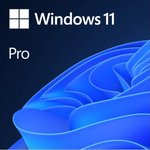 Windows 11 Pro İngilizce Oem (64 Bit) FQC-10528