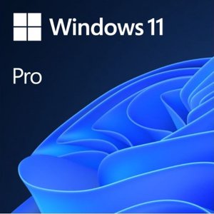 Windows 11 Pro İngilizce Oem (64 Bit) FQC-10528