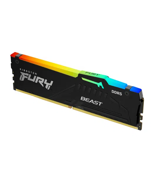 Kingston Beast RGB 32gb DDR5 5600mt/s CL36 DIMM EXPO