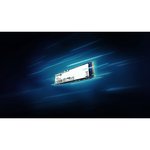 Kingston NV3 500GB M.2 NVMe SSD (5000-3000MBs)