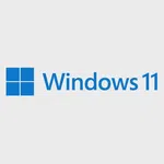 Windows 11 Pro Kutu Türkçe HAV-00159