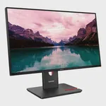 Lenovo T24-40 23.8" HDMI Monitör