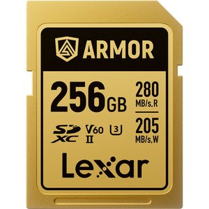 LEXAR 256GB LSDAMGL256G-RNNNG SD